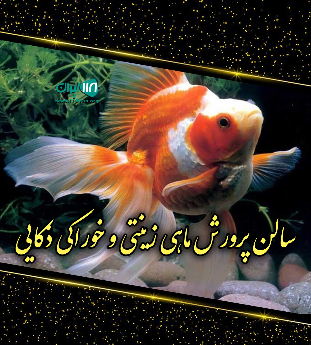 سالن پرورش ماهی زینتی و خوراکی ذکایی در قم سالن پرورش ماهی زینتی و خوراکی ذکایی در قم