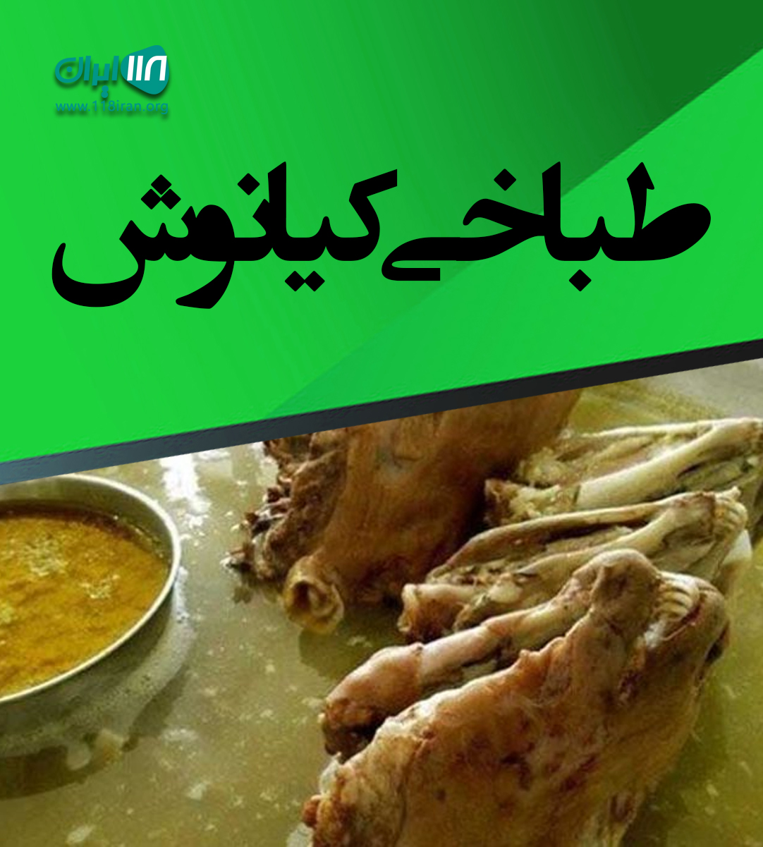 طباخی کیانوش در رشت