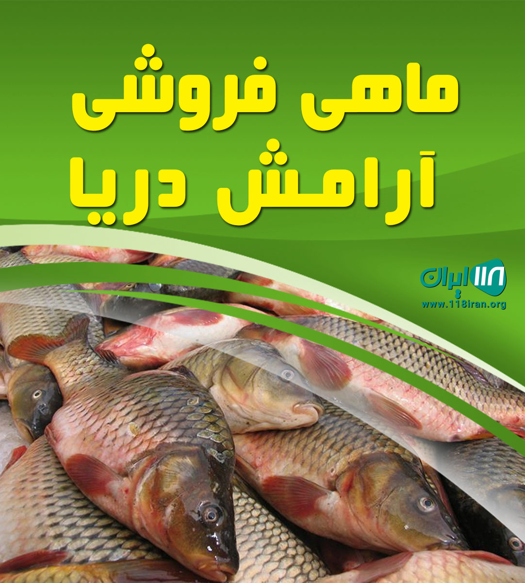 ماهی فروشی آرامش دریا در بوشهر ماهی فروشی آرامش دریا در بوشهر