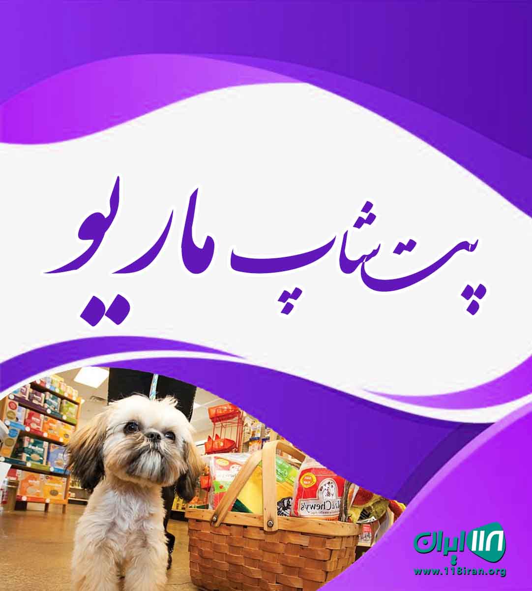 پت شاپ ماریو در تالش پت شاپ ماریو در تالش