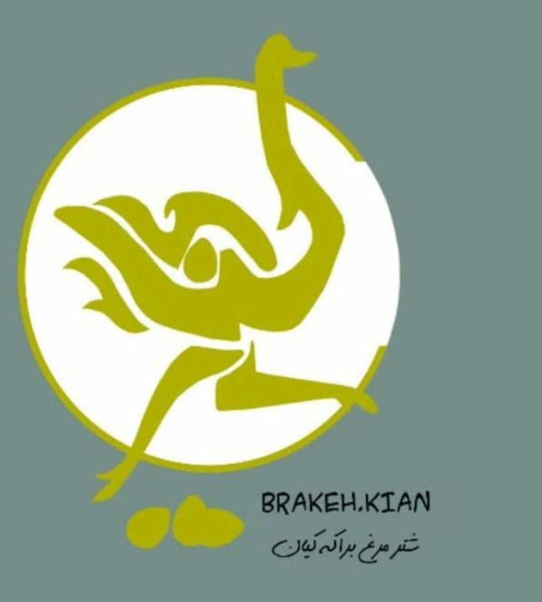 پرورش شترمرغ مسلم براکه در استان فارس