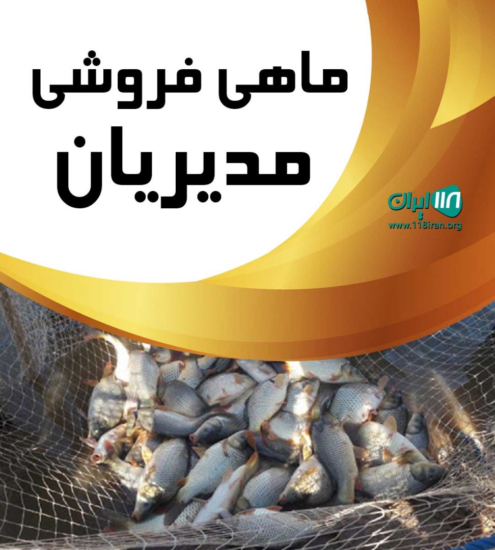 ماهی فروشی مدیریان در مریوان کانی سانان ماهی فروشی مدیریان در مریوان کانی سانان