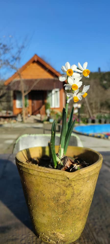 اقامتگاه بوم گردی سد خنم رامسر اقامتگاه بوم گردی سد خنم رامسر