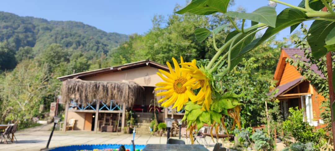 اقامتگاه بوم گردی سد خنم رامسر اقامتگاه بوم گردی سد خنم رامسر