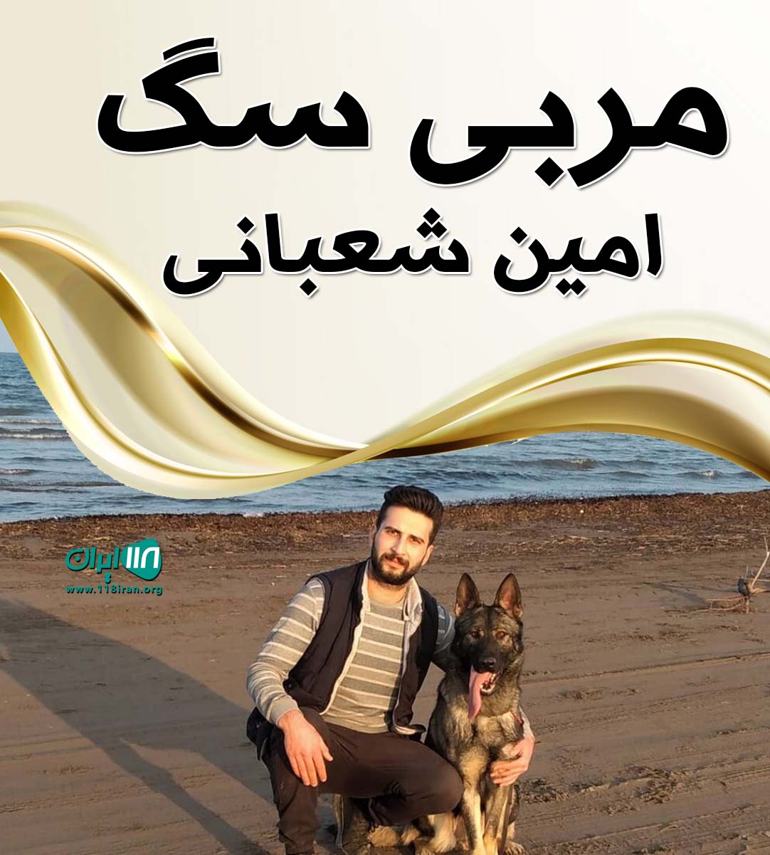 مربی سگ امین شعبانی در گیلان مربی سگ امین شعبانی در گیلان