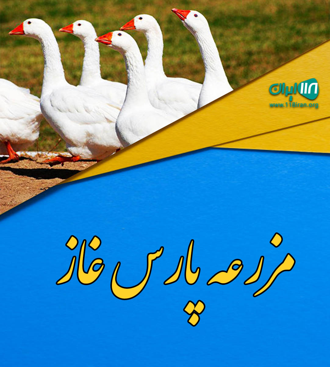 مزرعه پارس غاز در بابلسر بهنمیر مزرعه پارس غاز در بابلسر بهنمیر