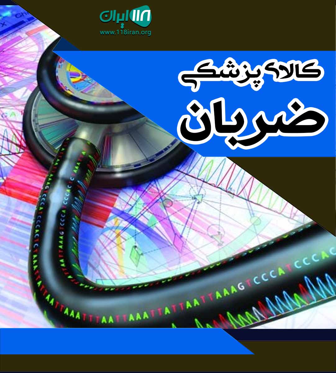 کالای پزشکی ضربان در لنگرود کالای پزشکی ضربان در لنگرود