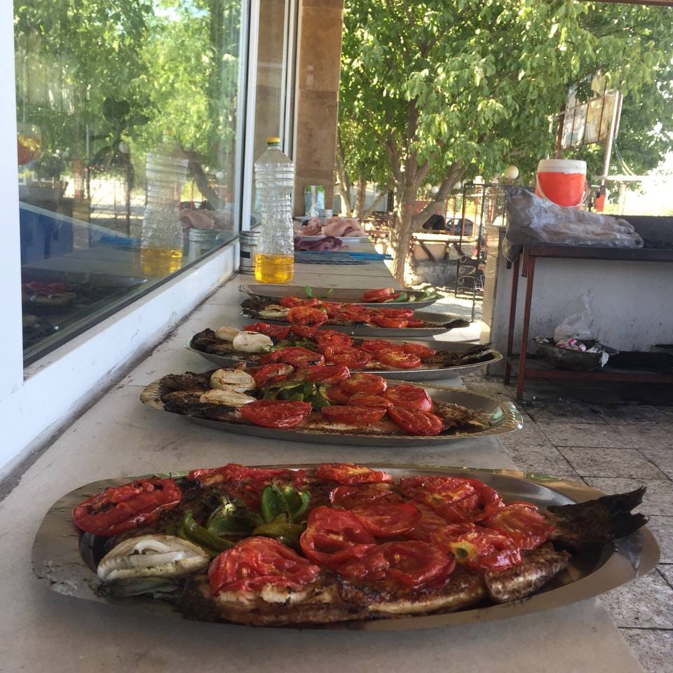 کباب ماهی ناوباخ در دور دریاچه زریوار مریوان کباب ماهی ناوباخ در دور دریاچه زریوار مریوان