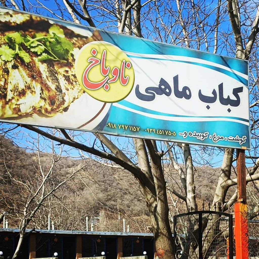 کباب ماهی ناوباخ در دور دریاچه زریوار مریوان کباب ماهی ناوباخ در دور دریاچه زریوار مریوان