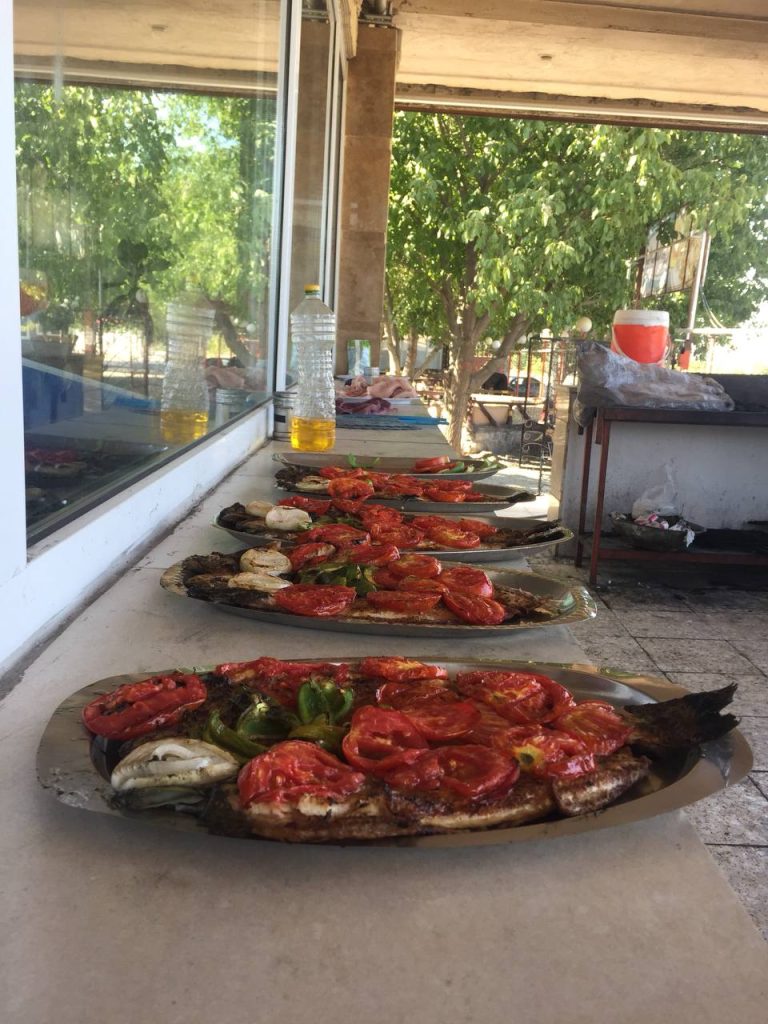 کباب ماهی ناوباخ در دور دریاچه زریوار مریوان کباب ماهی ناوباخ در دور دریاچه زریوار مریوان