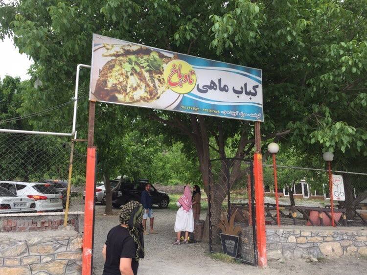 کباب ماهی ناوباخ در دور دریاچه زریوار مریوان کباب ماهی ناوباخ در دور دریاچه زریوار مریوان