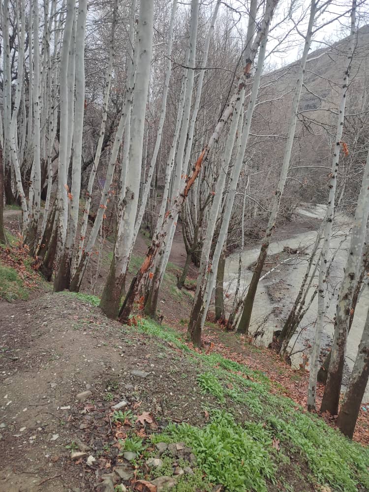 اقامتگاه بوم گردی آهار در برغان ساوجبلاغ اقامتگاه بوم گردی آهار در برغان ساوجبلاغ