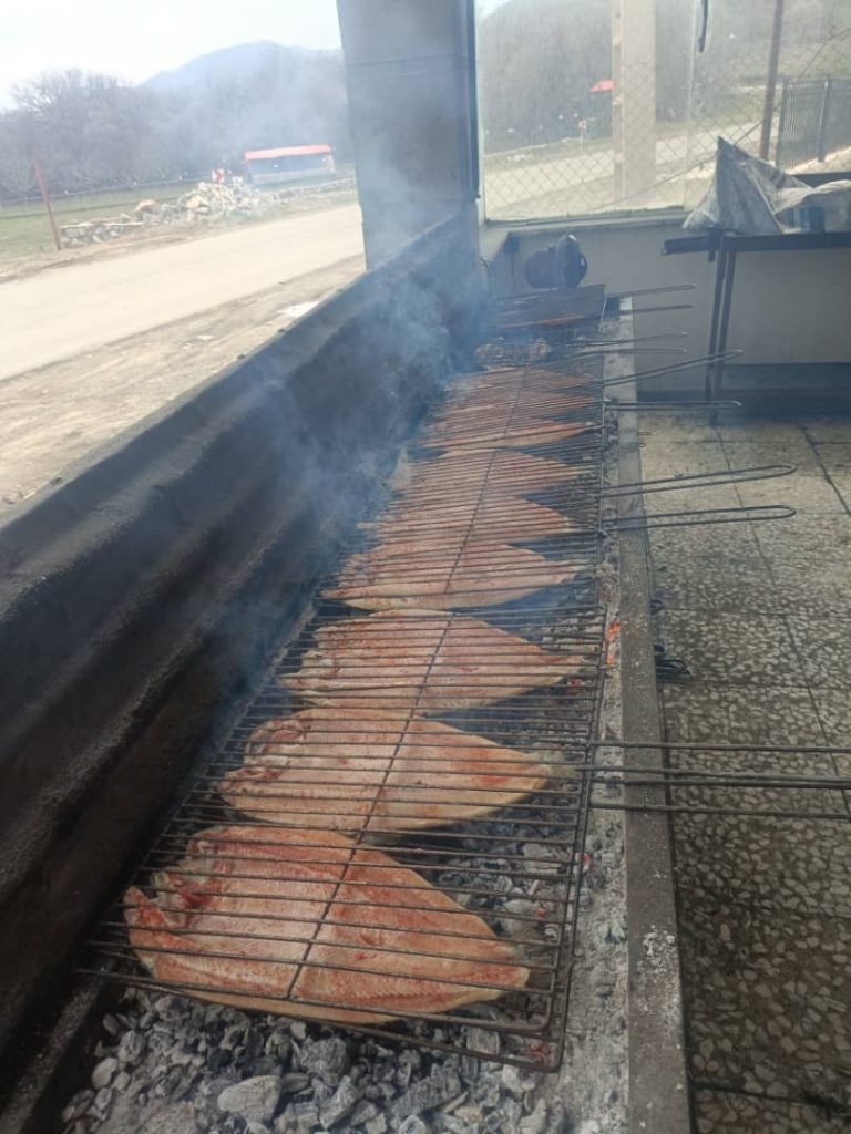 کباب ماهی ناوباخ در دور دریاچه زریوار مریوان کباب ماهی ناوباخ در دور دریاچه زریوار مریوان