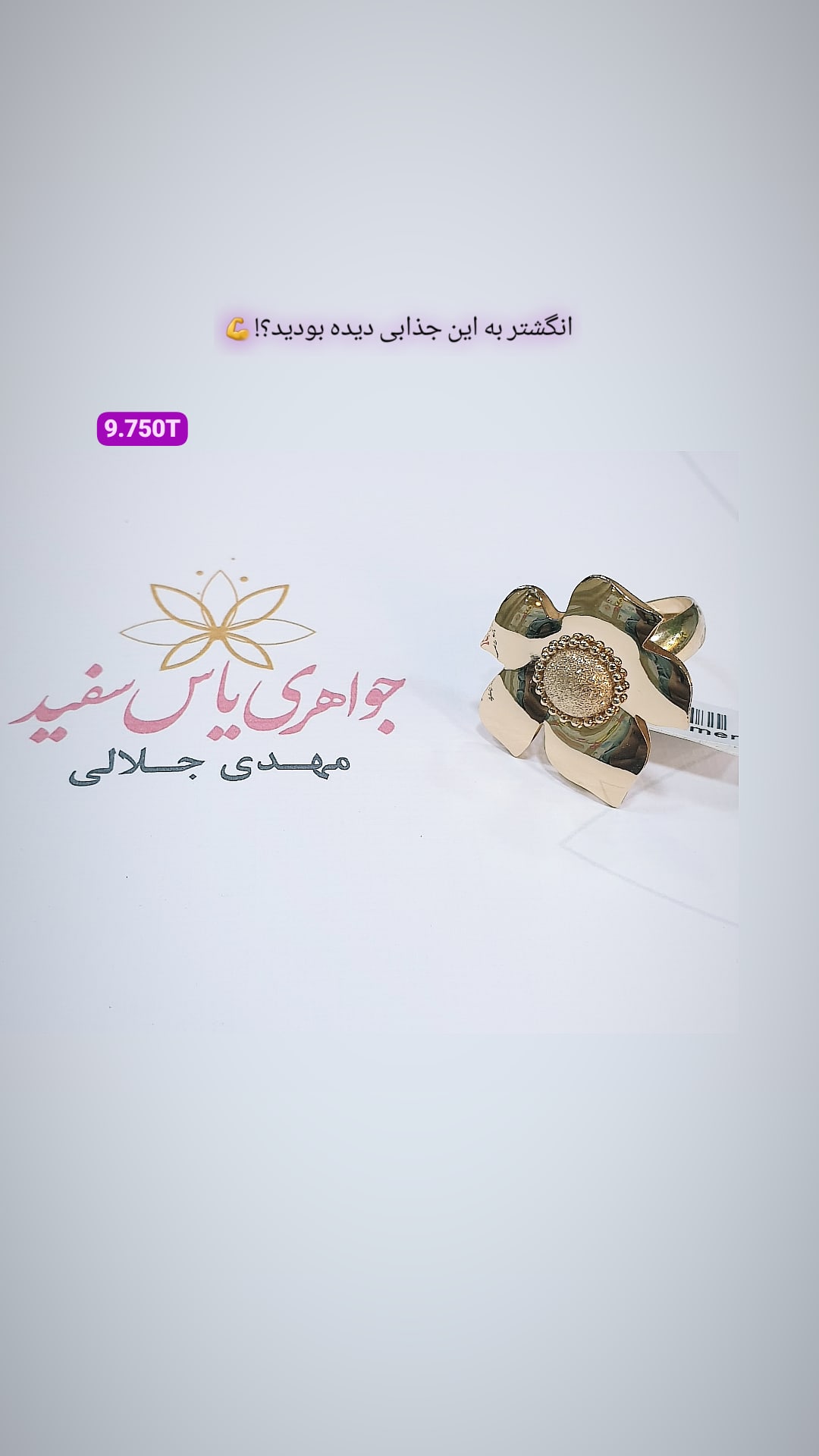 جواهری یاس سفید در بابل جواهری یاس سفید در بابل