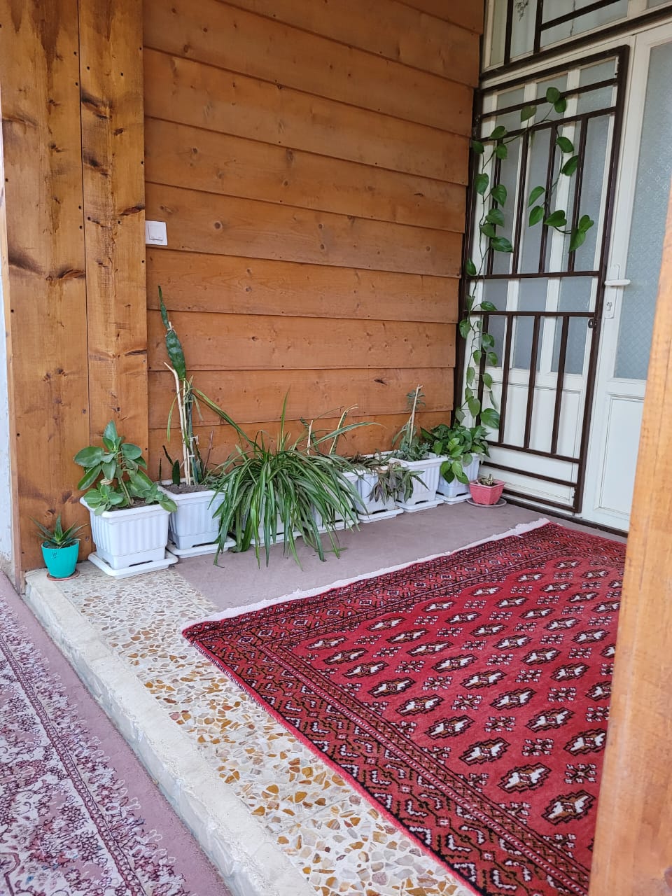 اقامتگاه گردشگری رحیلا در گلستان اقامتگاه گردشگری رحیلا در گلستان