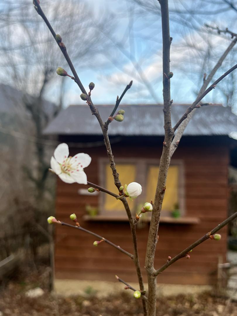 اقامتگاه بوم گردی سد خنم رامسر اقامتگاه بوم گردی سد خنم رامسر