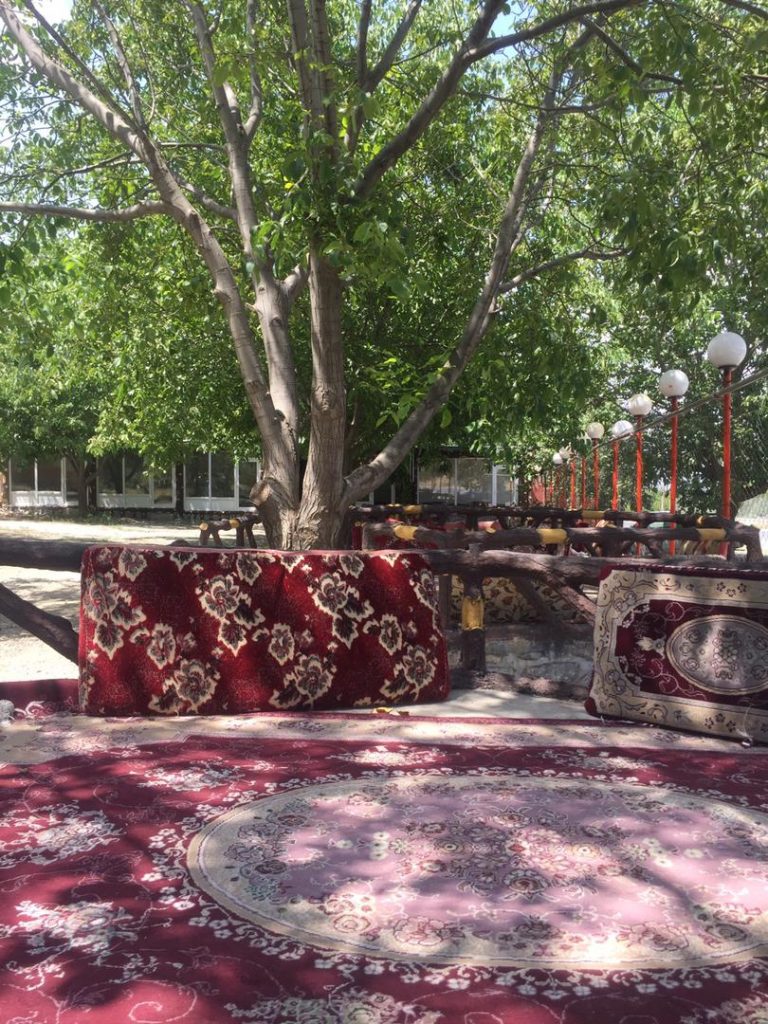 کباب ماهی ناوباخ در دور دریاچه زریوار مریوان کباب ماهی ناوباخ در دور دریاچه زریوار مریوان