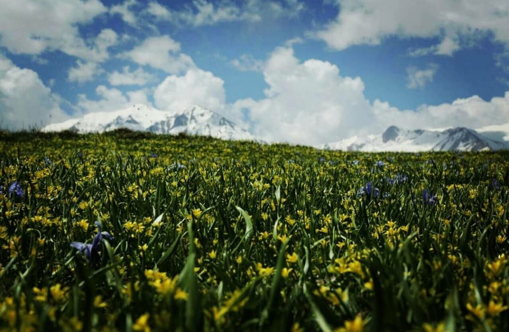 اقامتگاه بوم گردی ناتر در مرزن آباد چالوس اقامتگاه بوم گردی ناتر در مرزن آباد چالوس