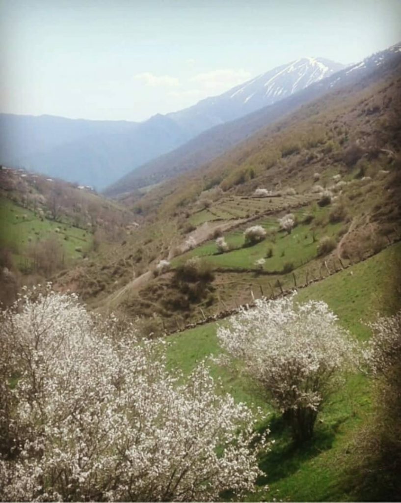 اقامتگاه بوم گردی ناتر در مرزن آباد چالوس اقامتگاه بوم گردی ناتر در مرزن آباد چالوس