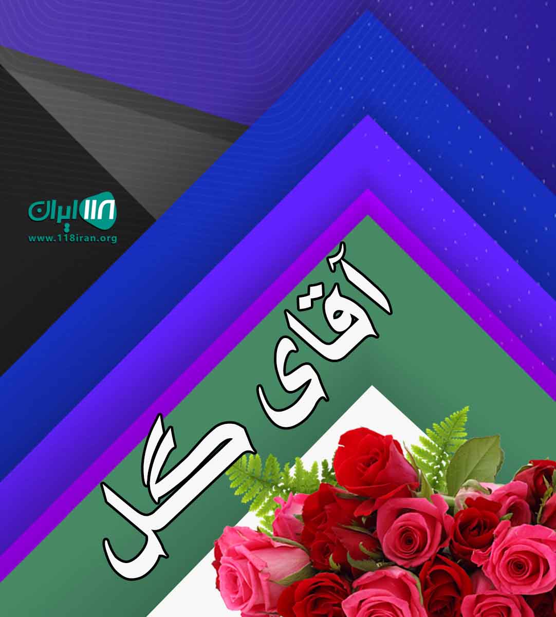 آقای گل در بوشهر