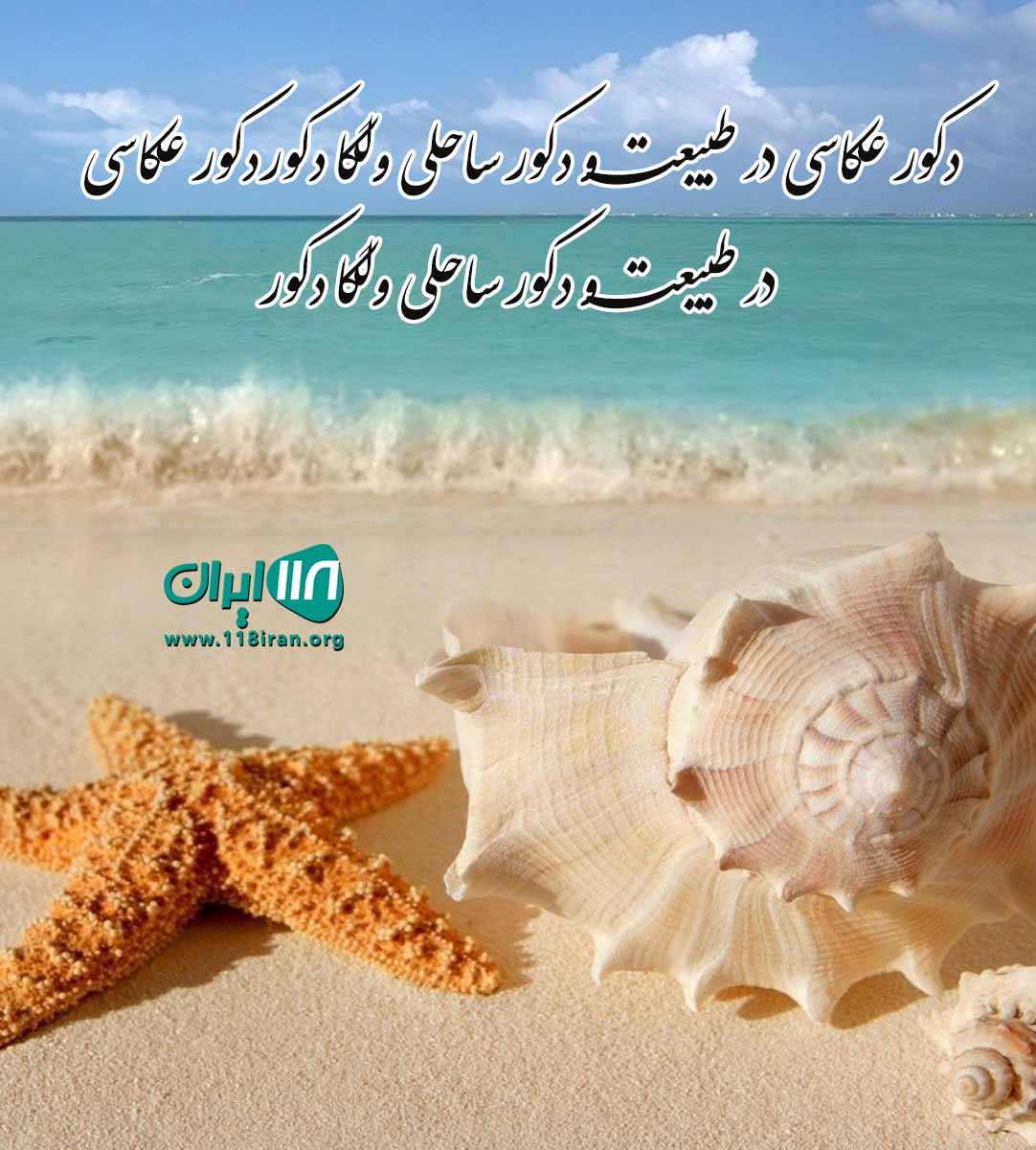 دکور عکاسی در طبیعت و دکور ساحلی ولگا دکور در نوشهر دکور عکاسی در طبیعت و دکور ساحلی ولگا دکور در نوشهر