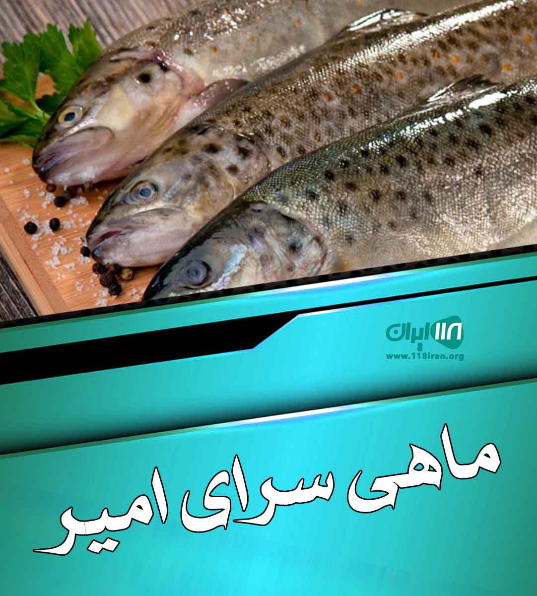 ماهی سرای امیر در لنگرود ماهی سرای امیر در لنگرود