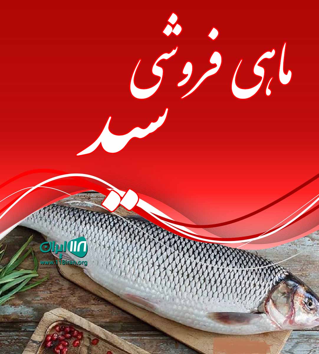 ماهی فروشی سید در بوشهر ماهی فروشی سید در بوشهر