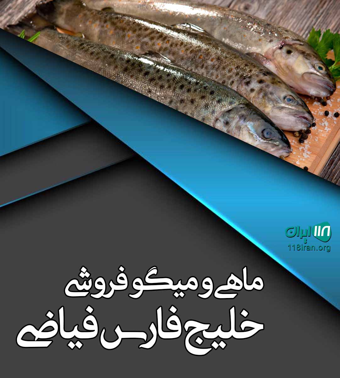 ماهی و میگو فروشی خلیج فارس فیاضی در بندر دیلم ماهی و میگو فروشی خلیج فارس فیاضی در بندر دیلم