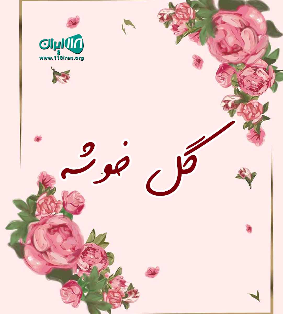 گل خوشه در بوشهر گل خوشه در بوشهر