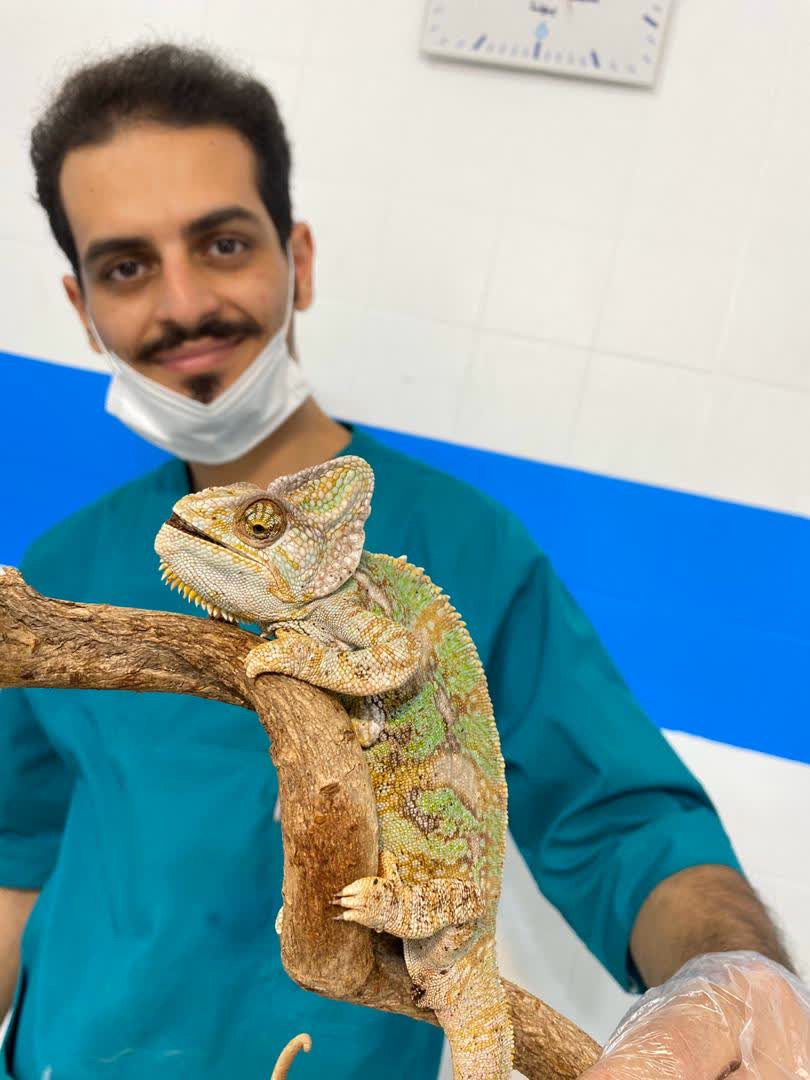 کلینیک دامپزشکی یونا در قم کلینیک دامپزشکی یونا در قم