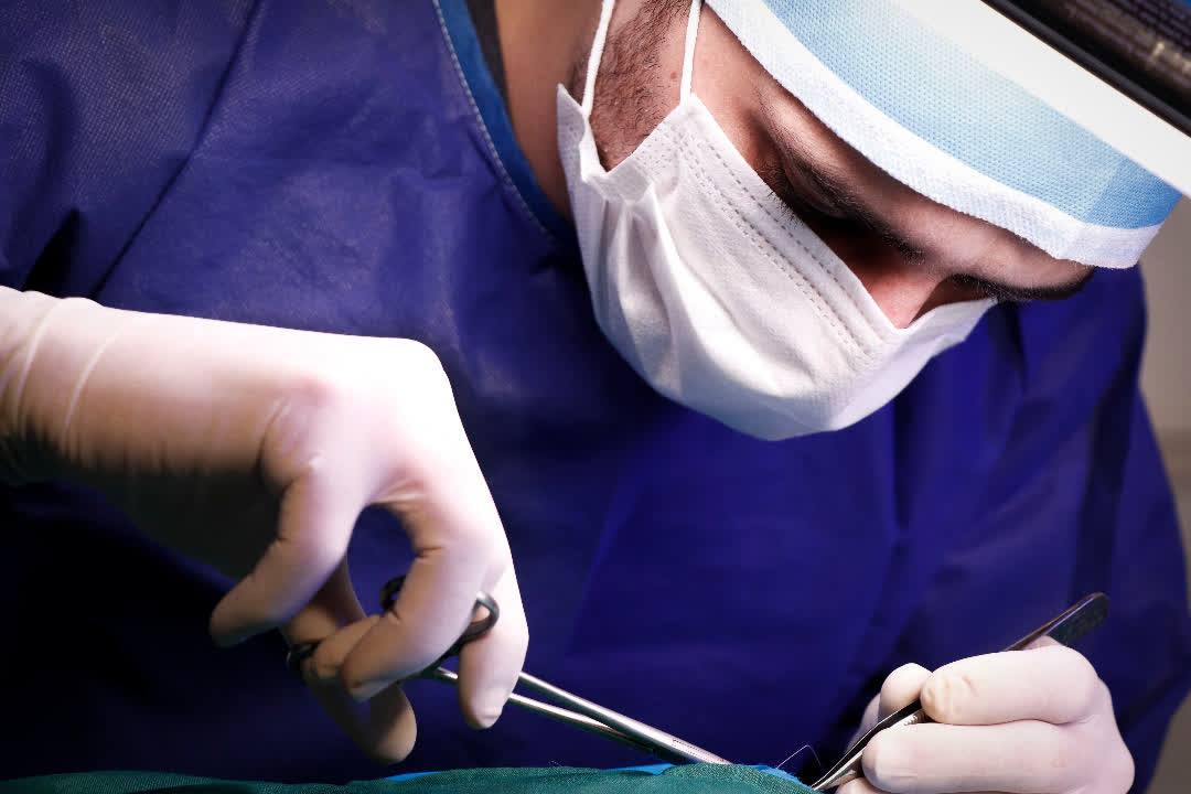 کلینیک دامپزشکی یونا در قم کلینیک دامپزشکی یونا در قم