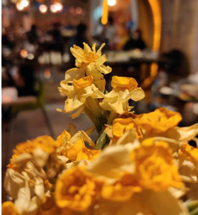 رستوران مسی لانژ در خرم آباد