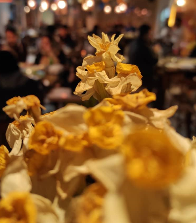 رستوران مسی لانژ در خرم آباد