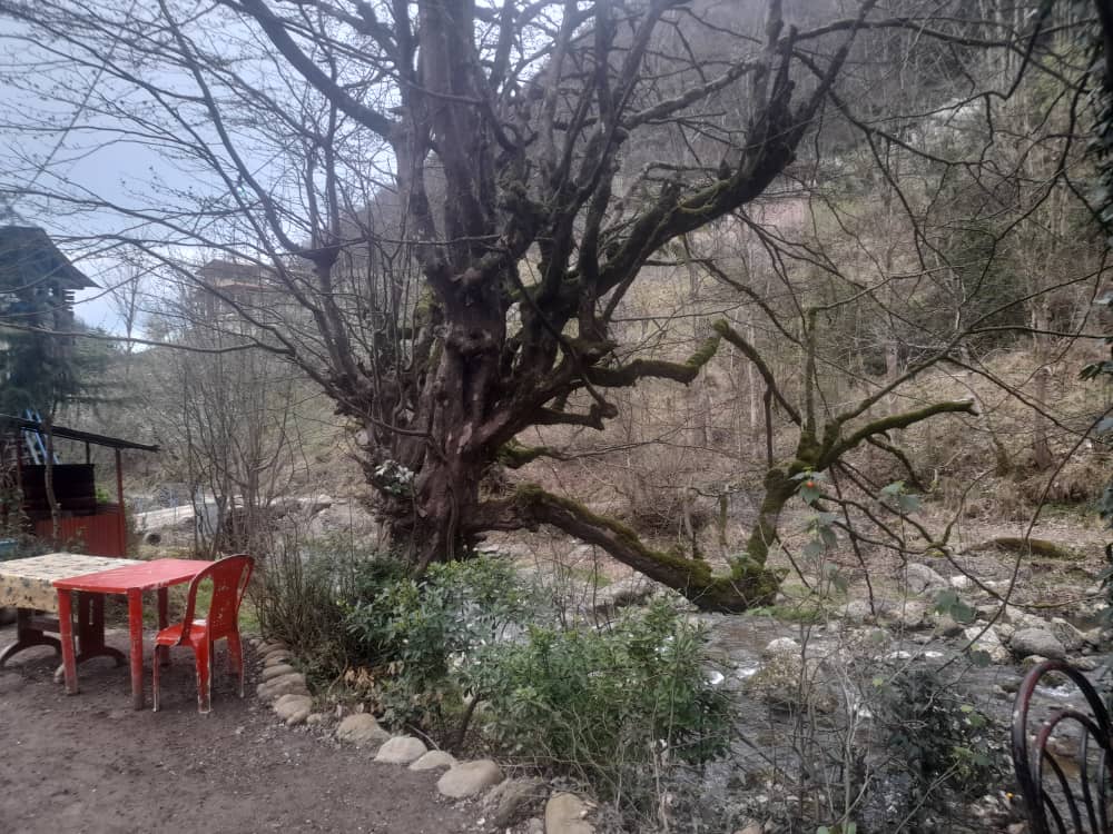 استراحتگاه ثامن در چابکسر استراحتگاه ثامن در چابکسر