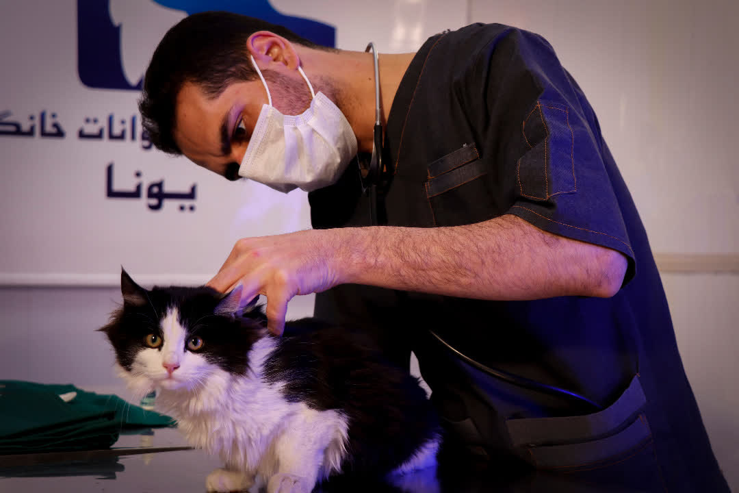 کلینیک دامپزشکی یونا در قم کلینیک دامپزشکی یونا در قم