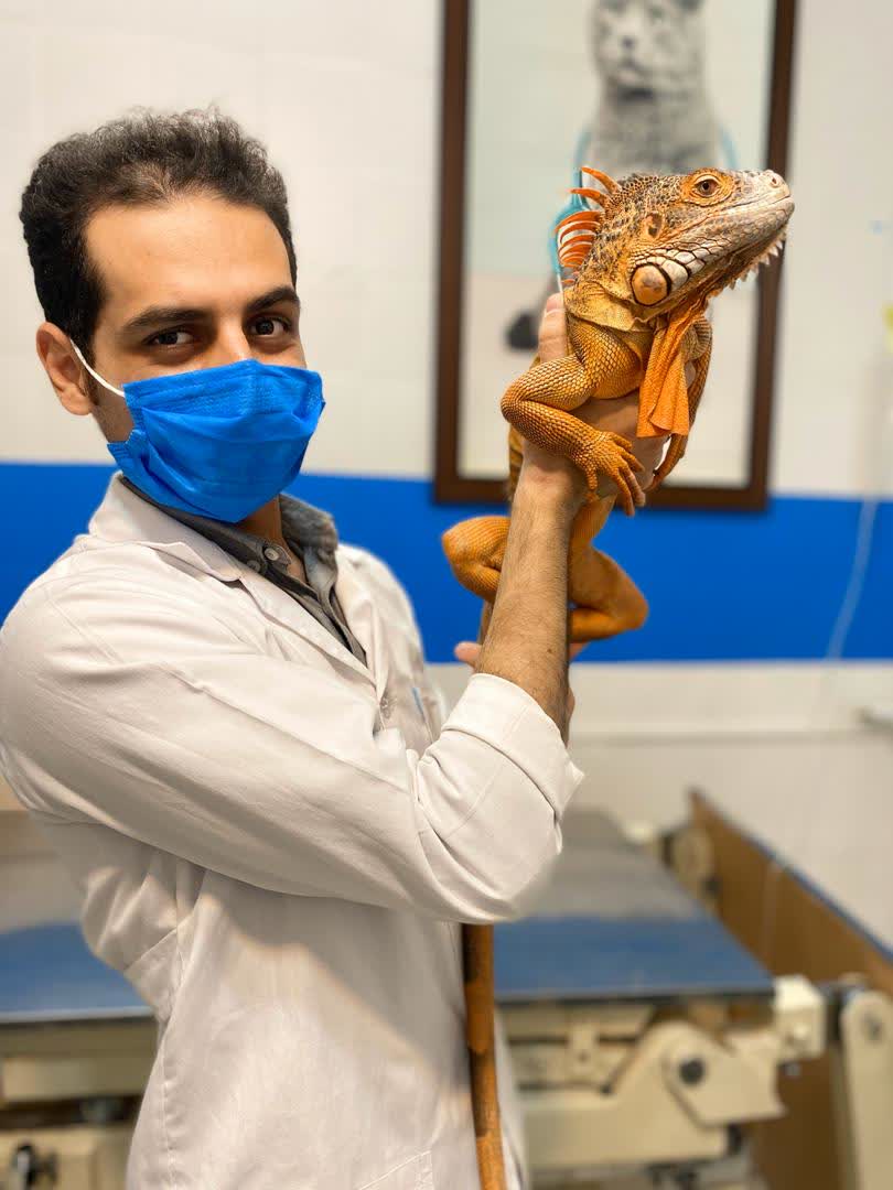 کلینیک دامپزشکی یونا در قم کلینیک دامپزشکی یونا در قم