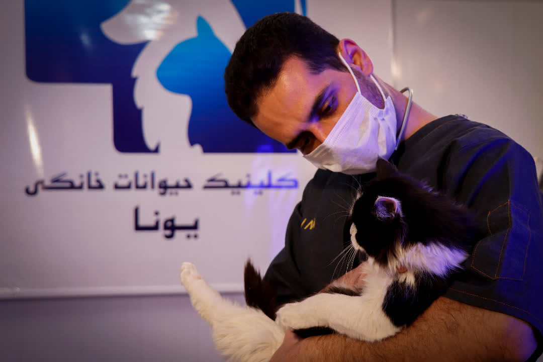 کلینیک دامپزشکی یونا در قم کلینیک دامپزشکی یونا در قم