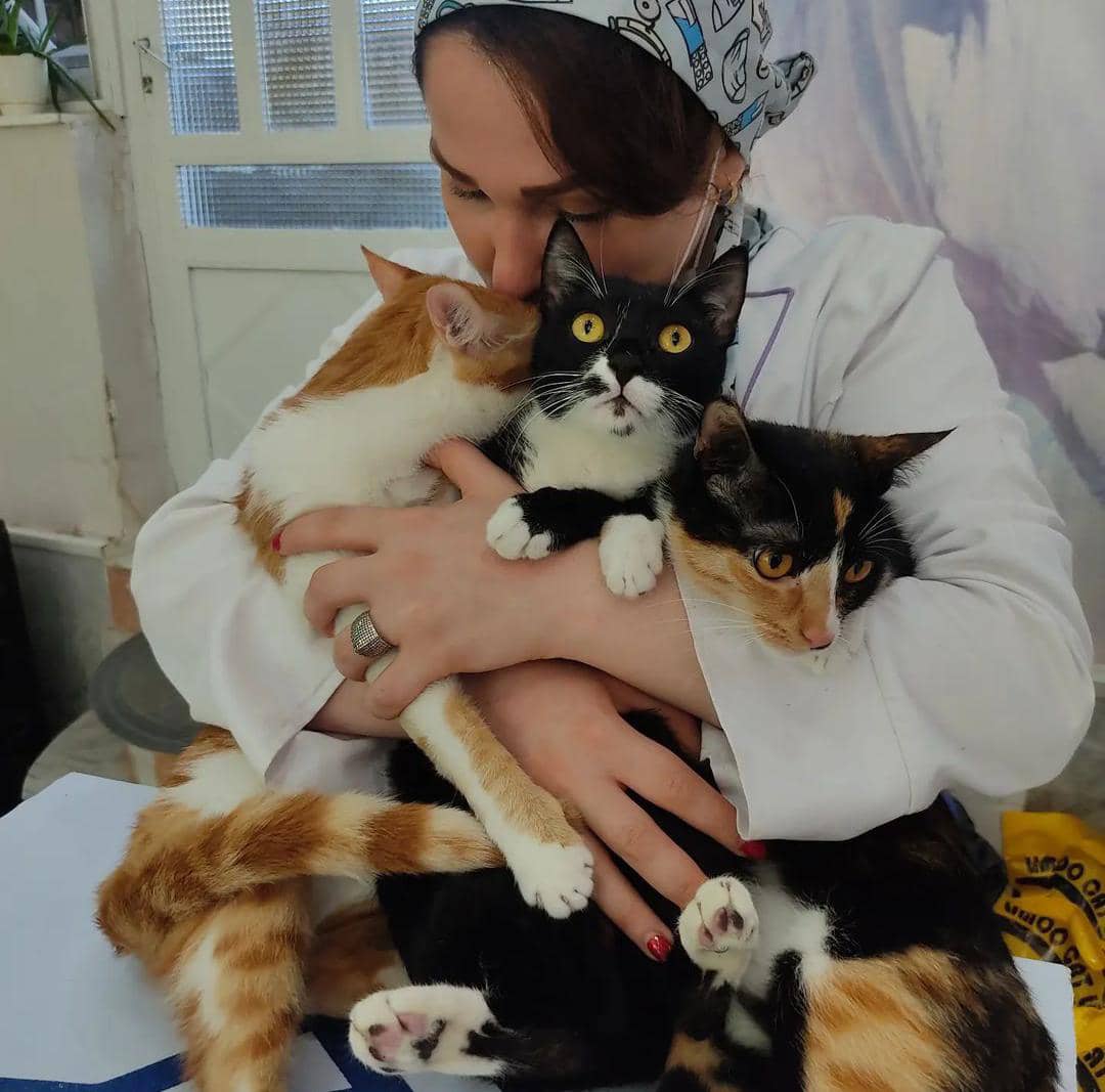 کلینیک دامپزشکی دکتر میرزایی در رودسر