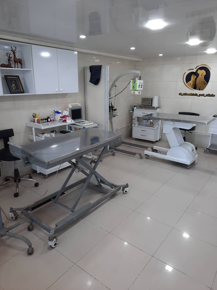 کلینیک دامپزشکی دکتر افراشته در رودسر کلینیک دامپزشکی دکتر افراشته در رودسر