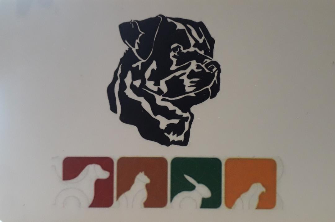 پت شاپ گلدن تنکابن پت شاپ گلدن تنکابن