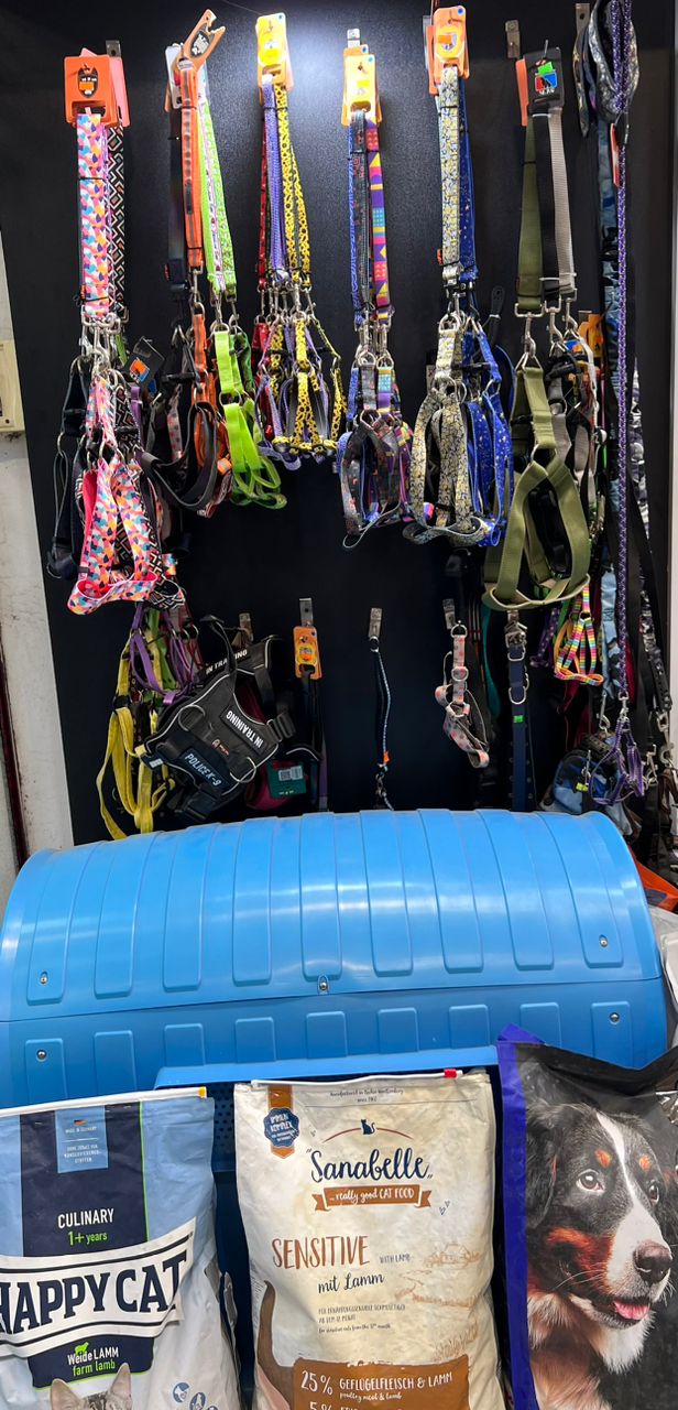 پت شاپ و کلینیک حیوانات خانگی و دامپزشکی داگلند در آمل