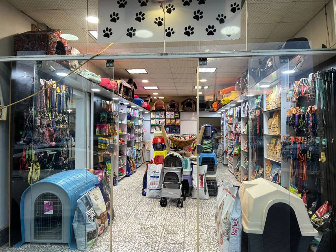 پت شاپ و کلینیک حیوانات خانگی و دامپزشکی داگلند در آمل