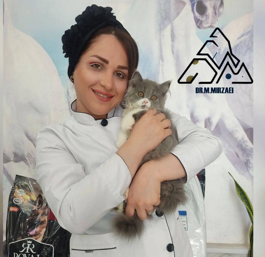 کلینیک دامپزشکی دکتر میرزایی در رودسر