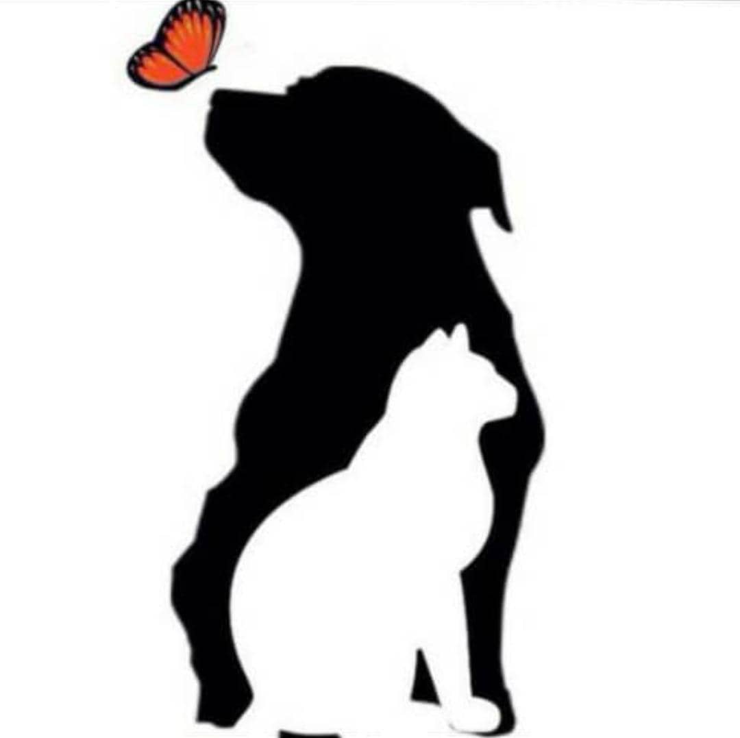 کلینیک دامپزشکی کلبه حیوانات در بابل کلینیک دامپزشکی کلبه حیوانات در بابل