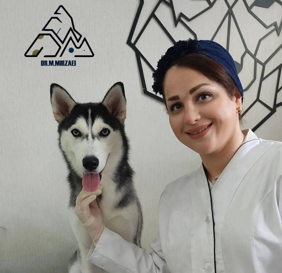 کلینیک دامپزشکی دکتر میرزایی در رودسر