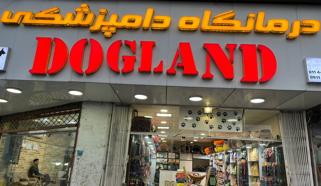 پت شاپ و کلینیک حیوانات خانگی و دامپزشکی داگلند در آمل
