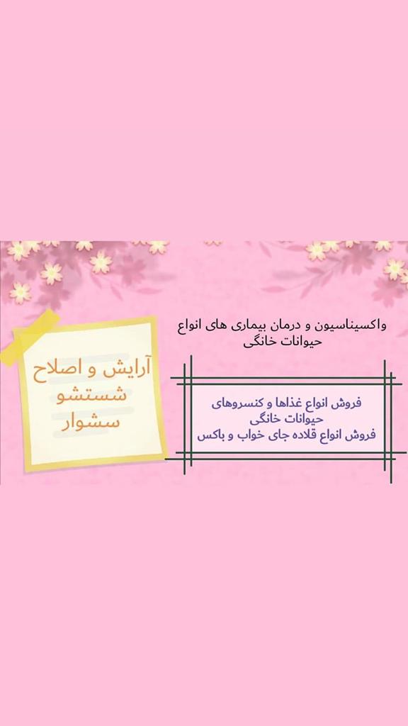 پت شاپ و کلینیک حیوانات خانگی و دامپزشکی داگلند در آمل