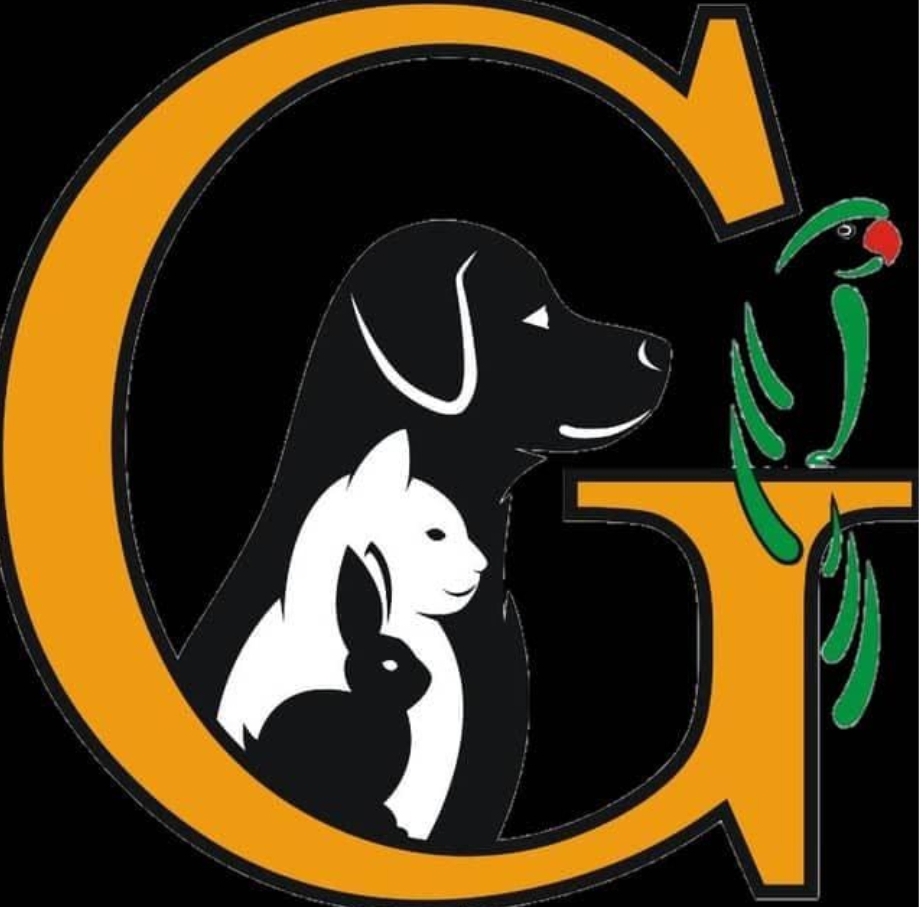 کلینیک دامپزشکی گیو در شهرکرد کلینیک دامپزشکی گیو در شهرکرد