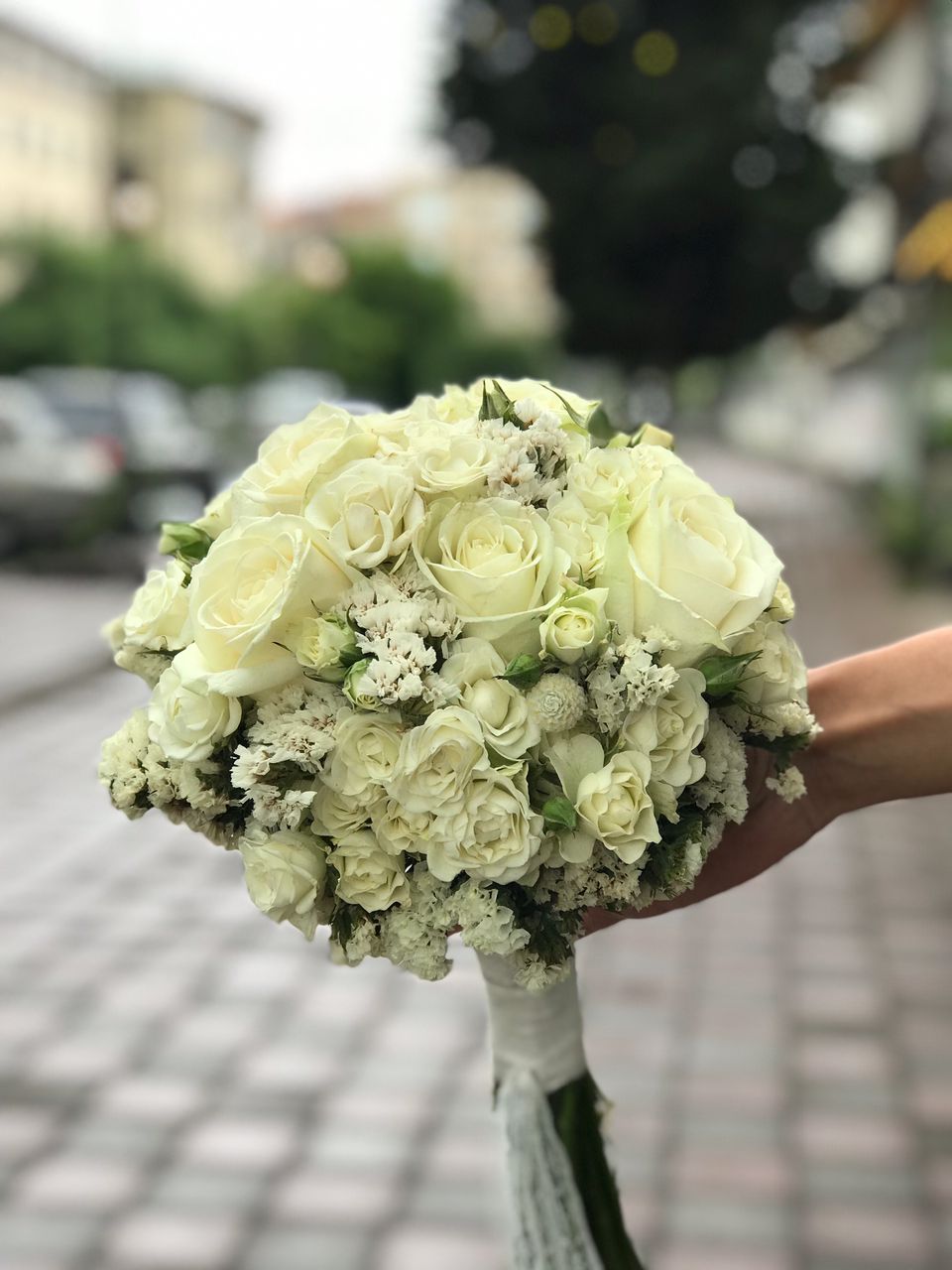 گلفروشی دکان گل در رشت