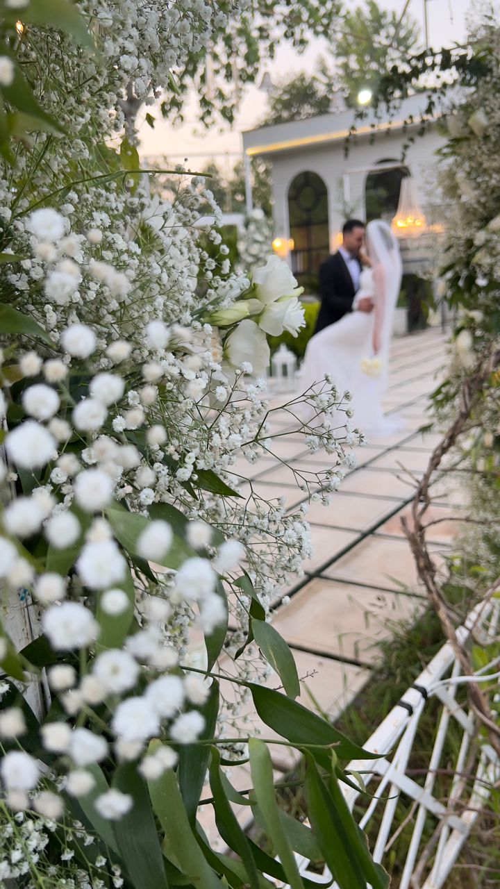 تشریفات مرادیان در نوشهر